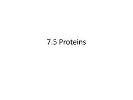 7.5 Proteins - HS Biology IB