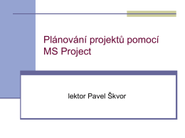 Projekt MS Project
