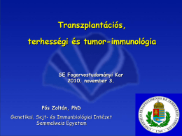 immun_9_ea_tumorimm