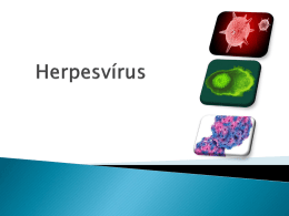 Herpes Vírus