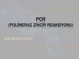 PCR (POL*MERAZ Z*NC*R REAKS*YONU)