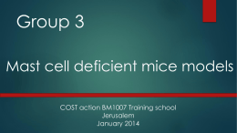 Group_3_Final_Presentation - Mast Cell