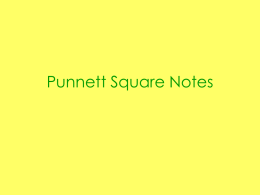 Punnett Square Notes