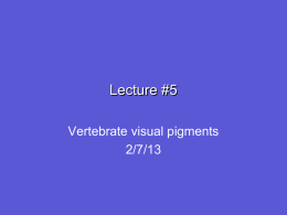 Lecture 5