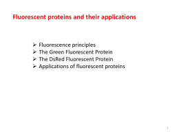Fluorescent proteins and their applications
