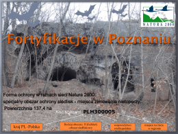 Fortyfikacje w Poznaniu - Natura 2000 a turystyka
