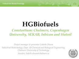 bioethanol production * from lab medium to large scale