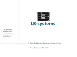 LB-systems Professional Services