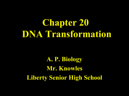 Chapter 20 DNA Transformation