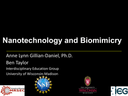 Nanotechnology and Biomimicry Powerpoint