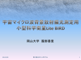 Lite BIRD