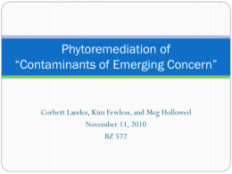 Phytoremediation of Pharmaceuticals, Hormones, and other Organic