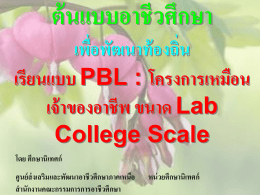 ต้นแบบอาชีวศึกษาเพื่อพัฒนาท้องถิ่น PBL MODEL