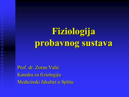 prof. dr. Zoran Valić