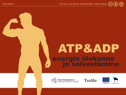 ATP ja ADP