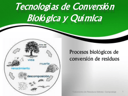 Tecnologías de Conversión Biológica y Química