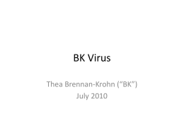BK Virus Talk 2010