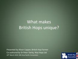 Appendix three: What makes British Hops unique