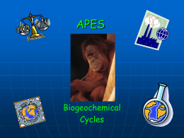 Biogechemical Cycles