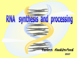 RNA synthesis & processing