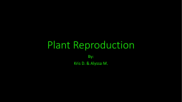 Plant Reproduction