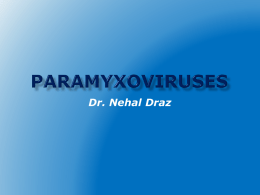 Paramyxoviruses