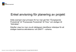 Exempel på Enkel anvisning för planering av projekt" (mix008