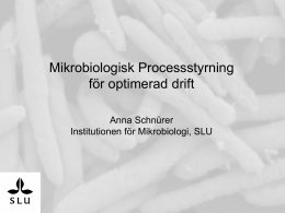 Mikrobiologisk processtyrning (Anna Schürer, SLU)