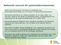 Presentation av ramverket för patientsäkerhetsarbete (PowerPoint
