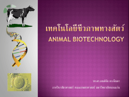 เทคโนโลยีชีวภาพทางสัตว์ - คณะเกษตรศาสตร์ มหาวิทยาลัยขอนแก่น