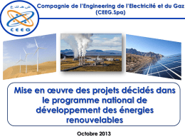 Compagnie de l*Engineering de l*Electricité et du Gaz (CEEG.Spa)