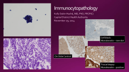 Update on Immunohistochemistry 2014