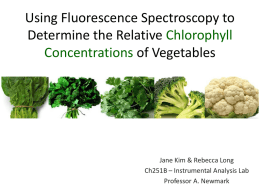 Using Fluorescence Spectroscopy to Determine the Chlorophyll C