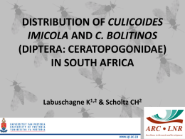 DISTRIBUTION OF CULICOIDES IMICOLA AND C. BOLITINOS
