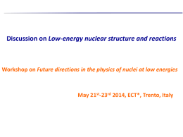 Discussion on Low-energy nuclear structure and reactions