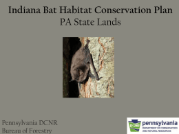 Indiana Bat Habitat Conservation Plan PA State Lands