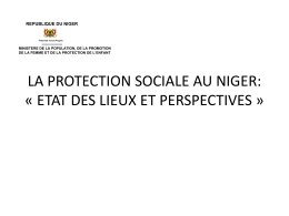LA PROTECTION SOCIALE AU NIGER: ETAT DES LIEUX ET