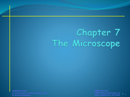 Chapter 7 The Microscope