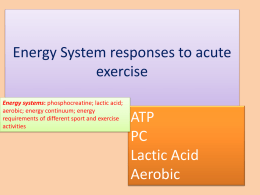 Energy system - Responses to exercise PPT