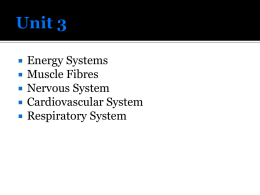 Unit 3 - Energy Systems and Muscle Fibres