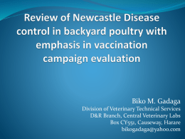 Review of Newcastle Disease control with emphasis in vx protocol