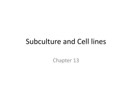 Subculture and Cell linesx