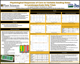 Physiological Responses of Corn to Variable Seeding Rates in
