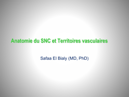 Anatomie du SNC et Territoires vasculaires