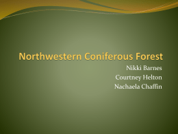 Northwestern Coniferous Forest