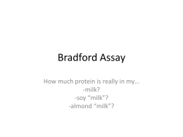 Bradford Assay