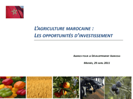 Mise en &oelig;uvre du PMV - aicep Portugal Global