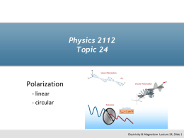 ppt