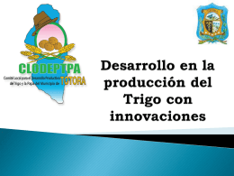 CLODEPTPA Desarrollo en la producción del Trigo con innovaciones