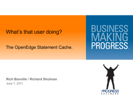 The OpenEdge Client Request Statement Cache.